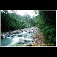 12325 023 Poring Weg zu den Rafflesia Malaysia 2006 Sabah.jpg